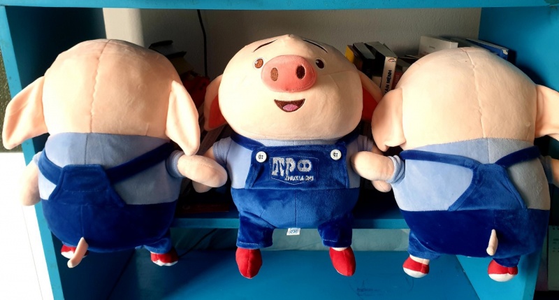 Thú nhồi bông Heo TikTok kute cỡ 30 1